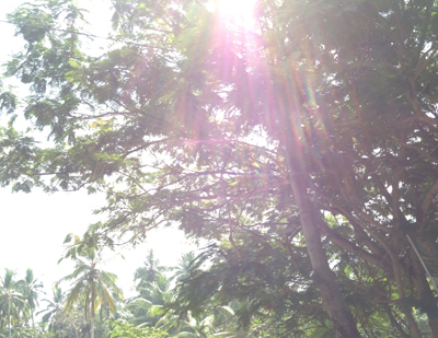 a0201204_14101450.jpg