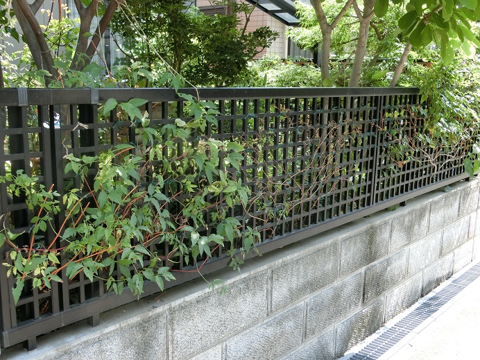 e0234004_19472423.jpg
