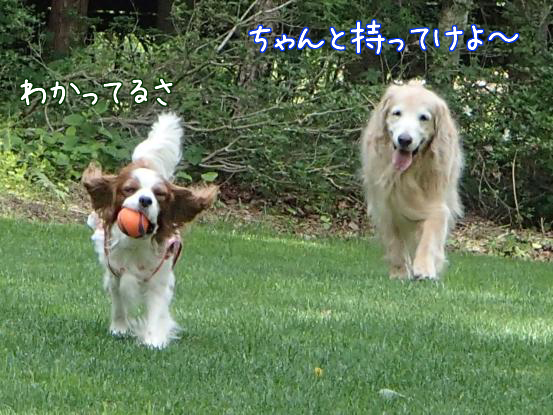f0064906_1720312.jpg