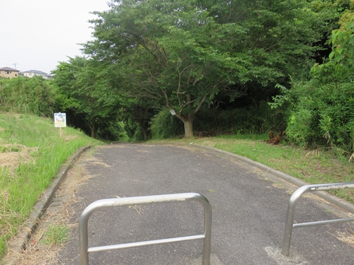 e0188009_20481013.jpg