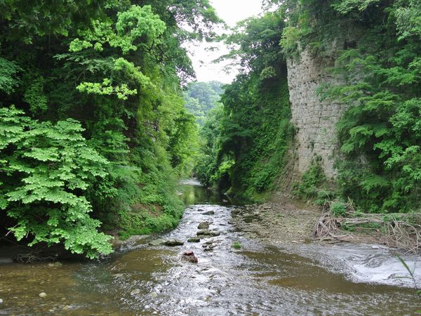 f0006510_0354074.jpg