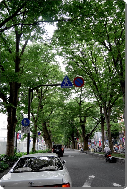 c0157412_21383787.jpg