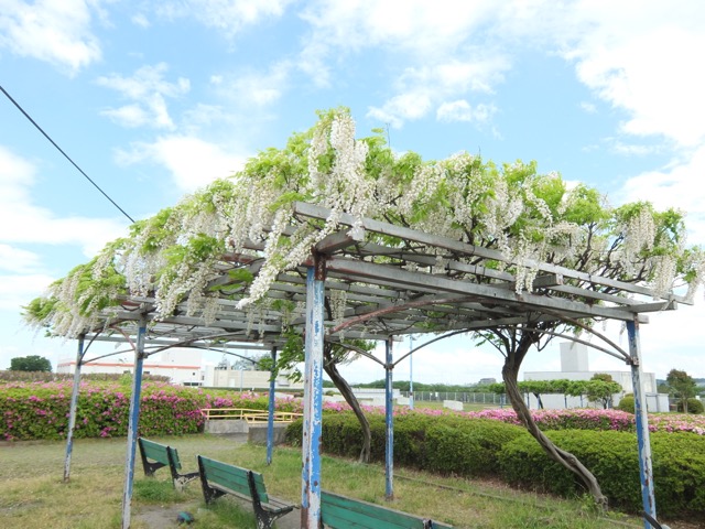 b0309813_2101436.jpg
