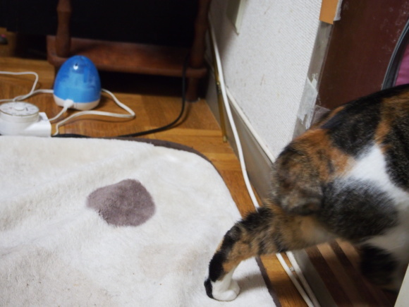 a0206019_01213203.jpg