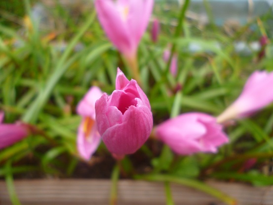 f0228619_1045179.jpg