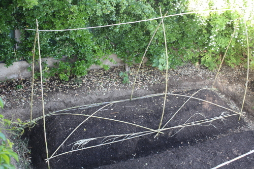 a0252324_01511449.jpg