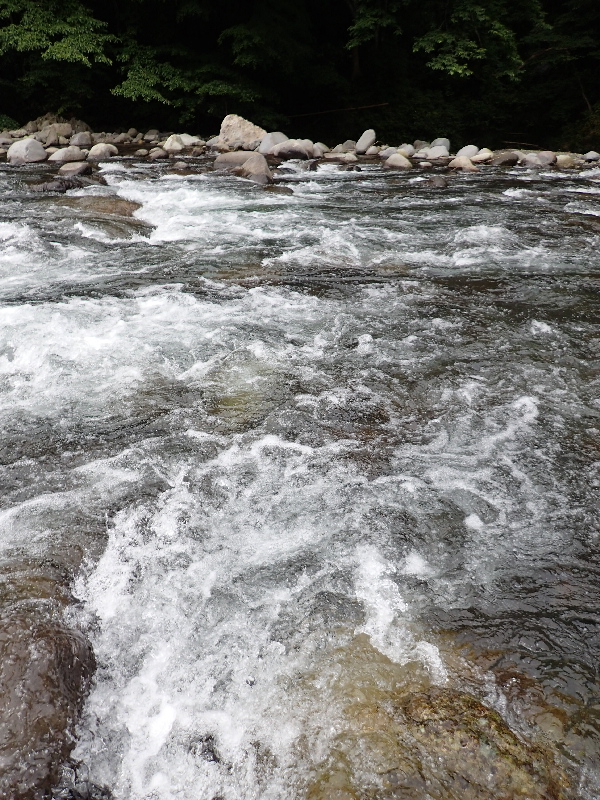 f0103126_2054974.jpg