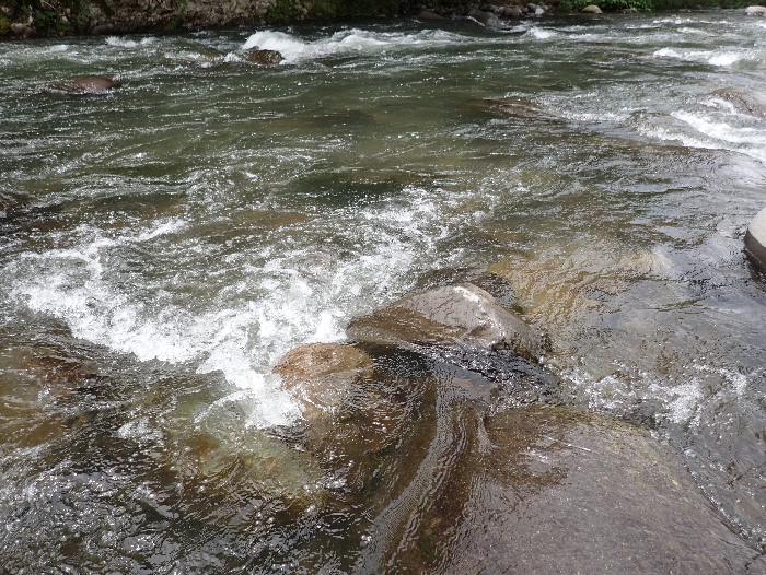 f0103126_20553354.jpg