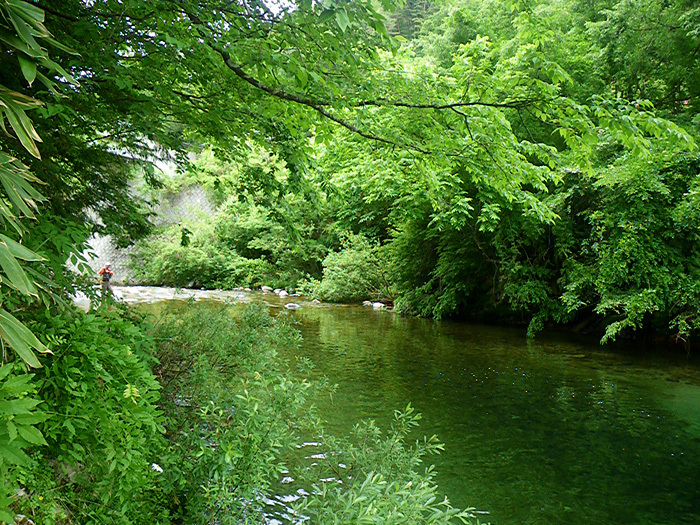 c0120834_21063838.jpg
