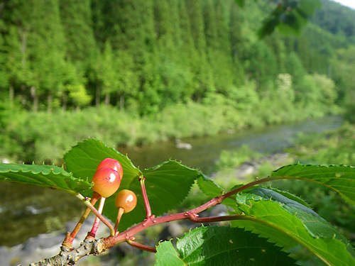 c0120834_21063862.jpg