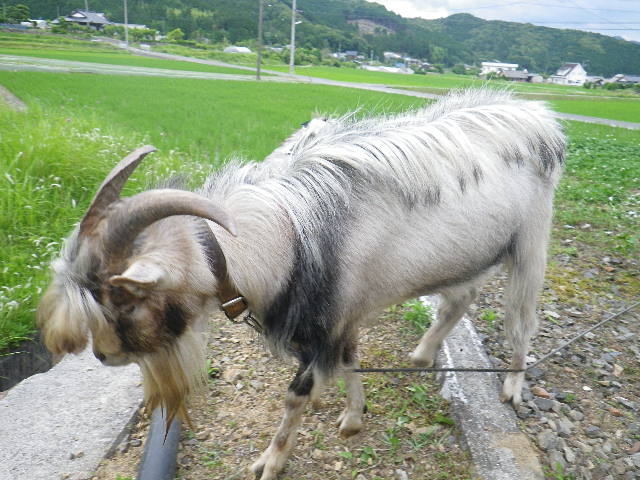 c0183137_18551698.jpg