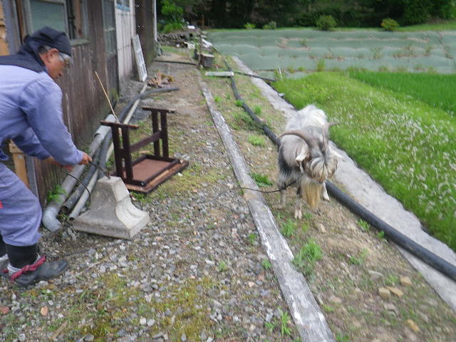 c0183137_192731.jpg
