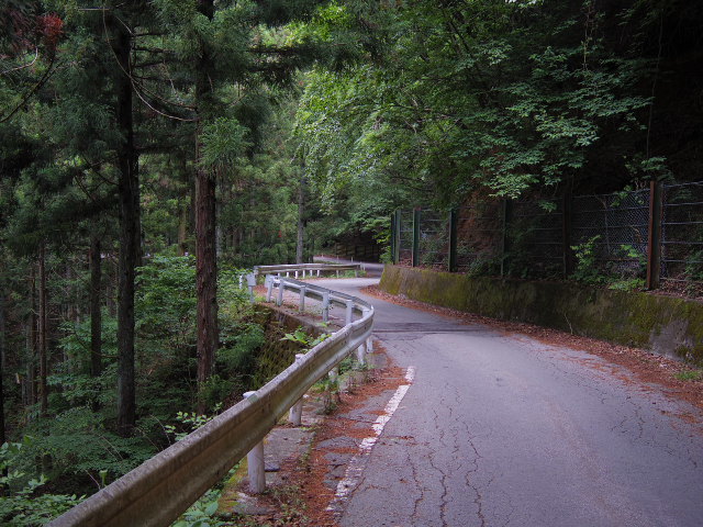 f0300637_20510376.jpg