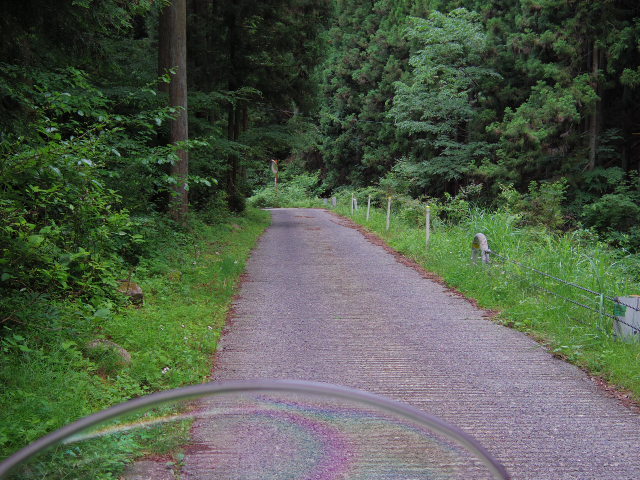 f0300637_21183553.jpg