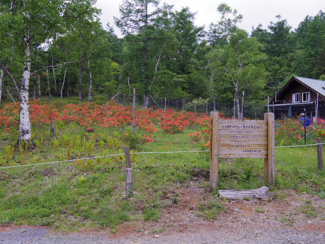 f0300637_22121230.jpg
