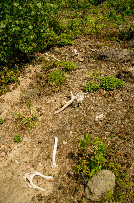 d0147338_2152643.jpg