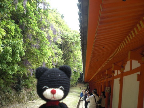 a0250740_1658667.jpg