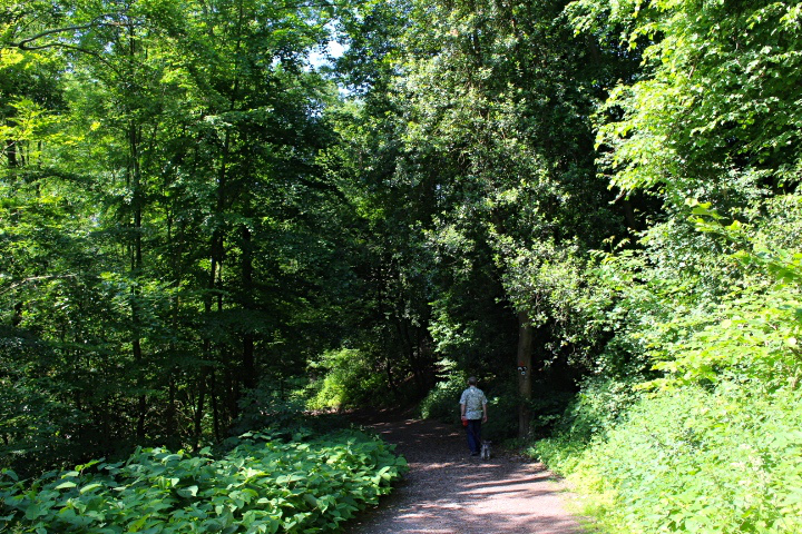c0153740_2105169.jpg
