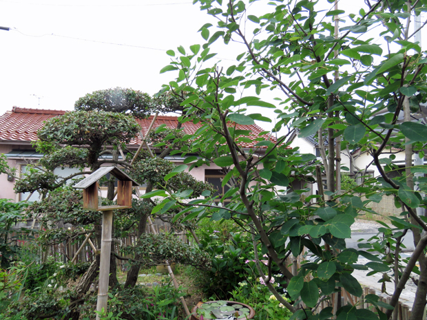 f0214649_9105811.jpg
