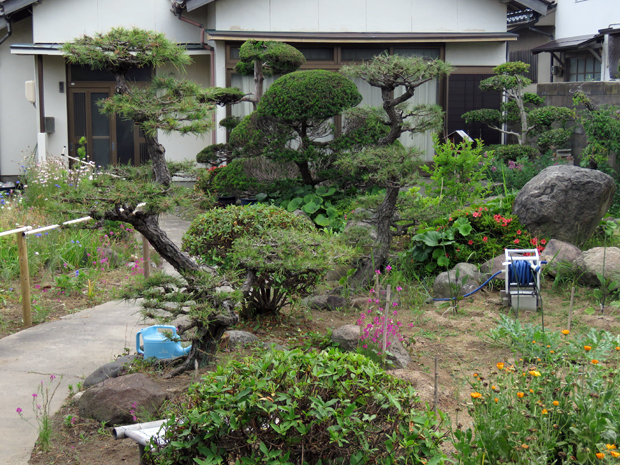 f0214649_9203770.jpg