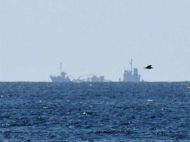 f0214649_930936.jpg