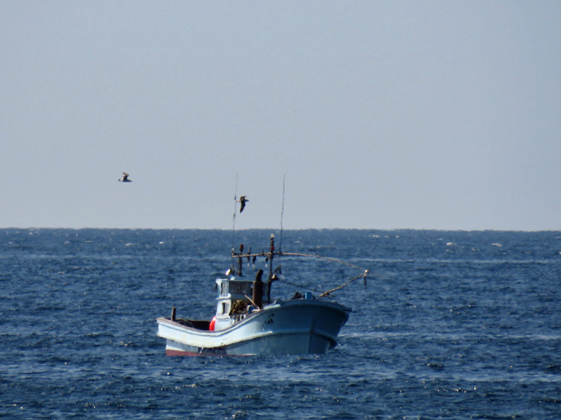 f0214649_932639.jpg