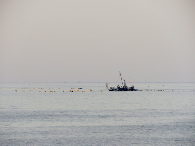 f0214649_9331818.jpg