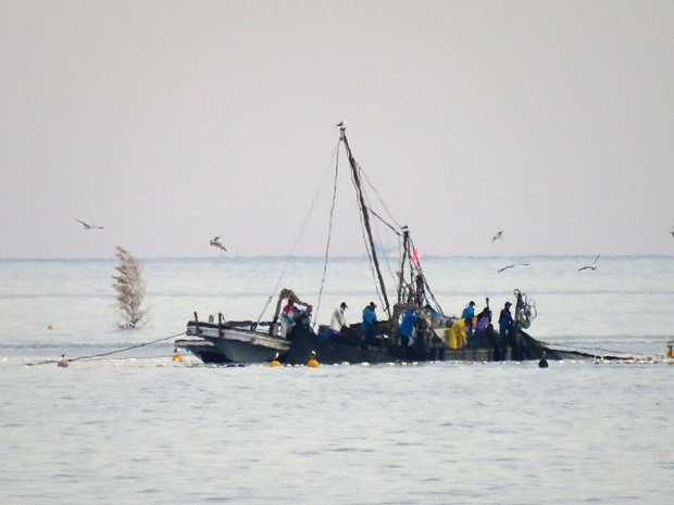 f0214649_933316.jpg