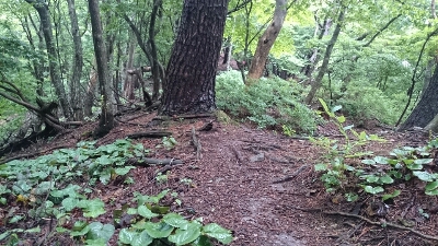b0148050_19101591.jpg