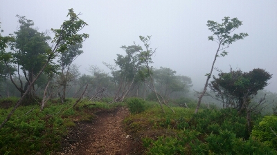 b0148050_19124964.jpg