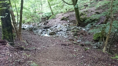 b0148050_19144799.jpg