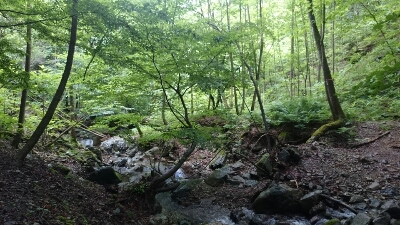 b0148050_19145723.jpg