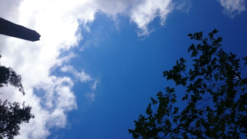 b0148050_19152096.jpg