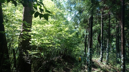 b0148050_1916416.jpg