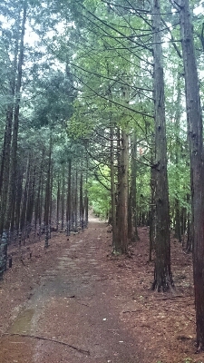 b0148050_1951084.jpg