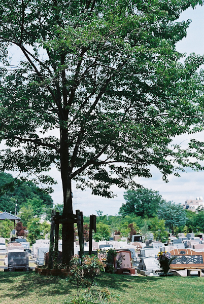 e0060651_1524574.jpg