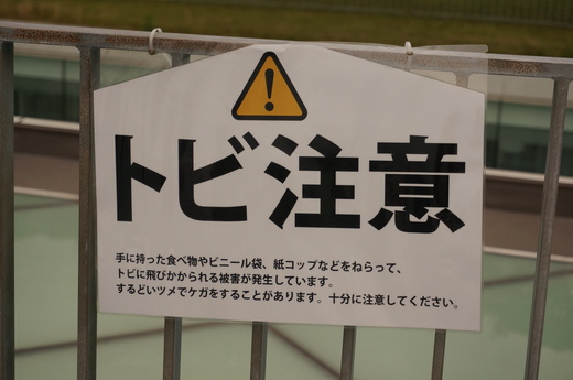 f0257756_1544548.jpg