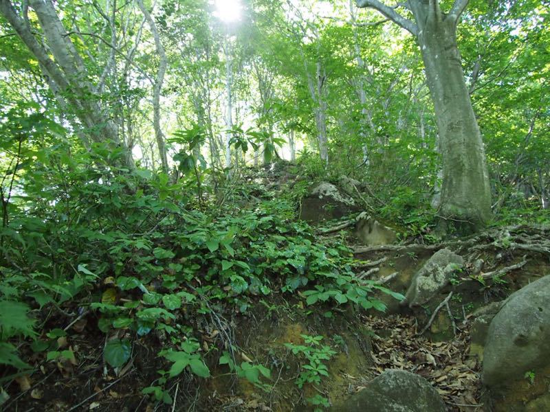c0321967_21421290.jpg
