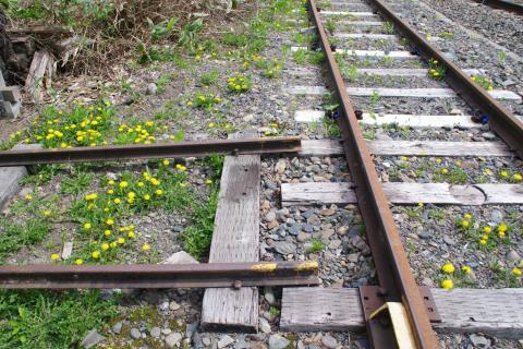 e0045768_222250.jpg