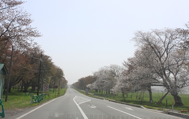 f0230777_2143710.jpg