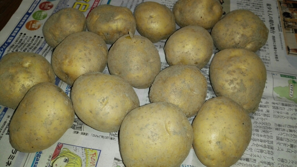 f0213778_12012728.jpg