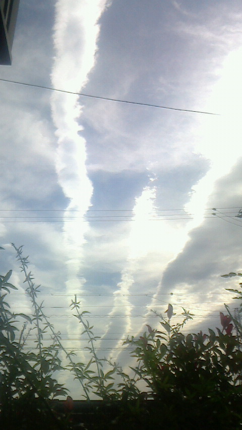 f0215179_2039468.jpg