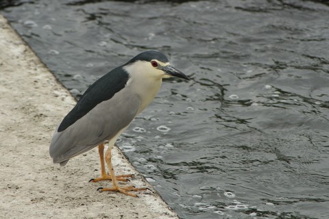 e0197884_2091256.jpg