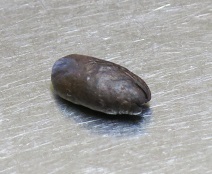 e0130185_1811169.jpg