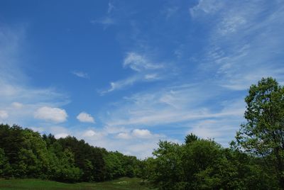 a0133886_131397.jpg