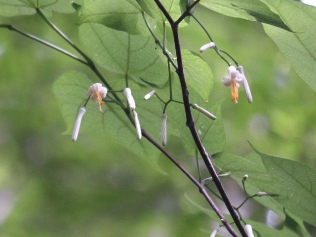 f0357487_22193149.jpg