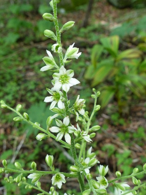 f0357487_22233399.jpg