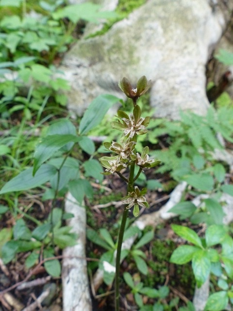 f0357487_222974.jpg
