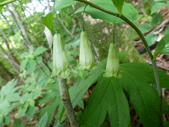f0357487_22341633.jpg