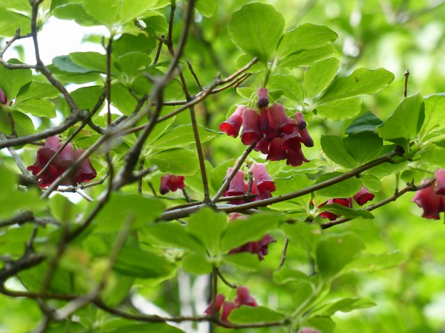 f0357487_22435742.jpg
